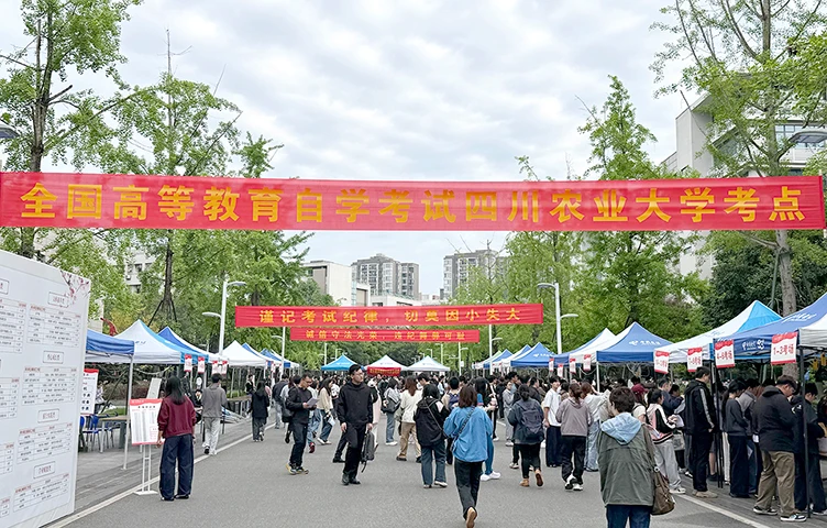 2026年上半年四川省高等教育自学考试顺利结束